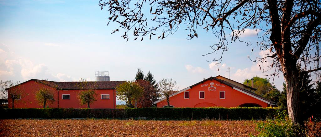 NADAL VINI
